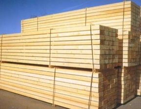 啄木鳥板材 裝飾材料與店鋪裝修視覺鑒賞